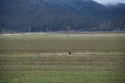 DSC_5854 (Large).JPG